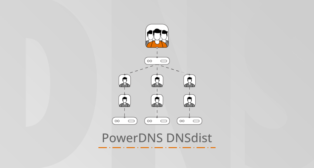 PowerDNS DNSdist 1.9.10 released, fixing CVE-2025-30193